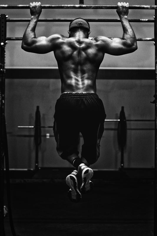 Back Workout