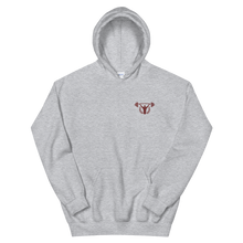 Load image into Gallery viewer, PBF Gym Pullover Hoodie
